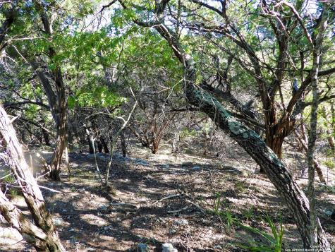 LOT10A-16A,9-11 Plum Cove Road Lakehills TX 78063