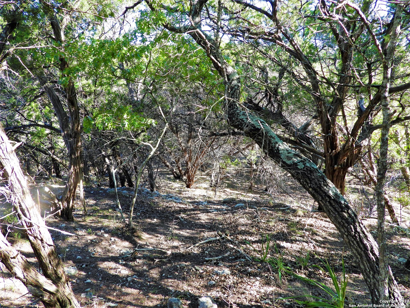 LOT10A-16A,9-11 Plum Cove Road Lakehills TX 78063