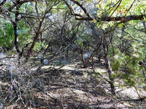 LOT10A-16A,9-11 Plum Cove Road Lakehills TX 78063