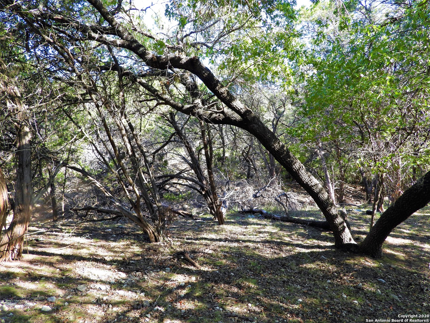 LOT10A-16A,9-11 Plum Cove Road Lakehills TX 78063