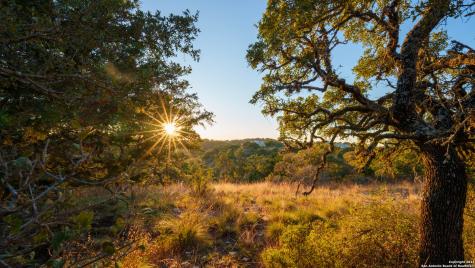 259 Lookout Point N Comfort TX 78013