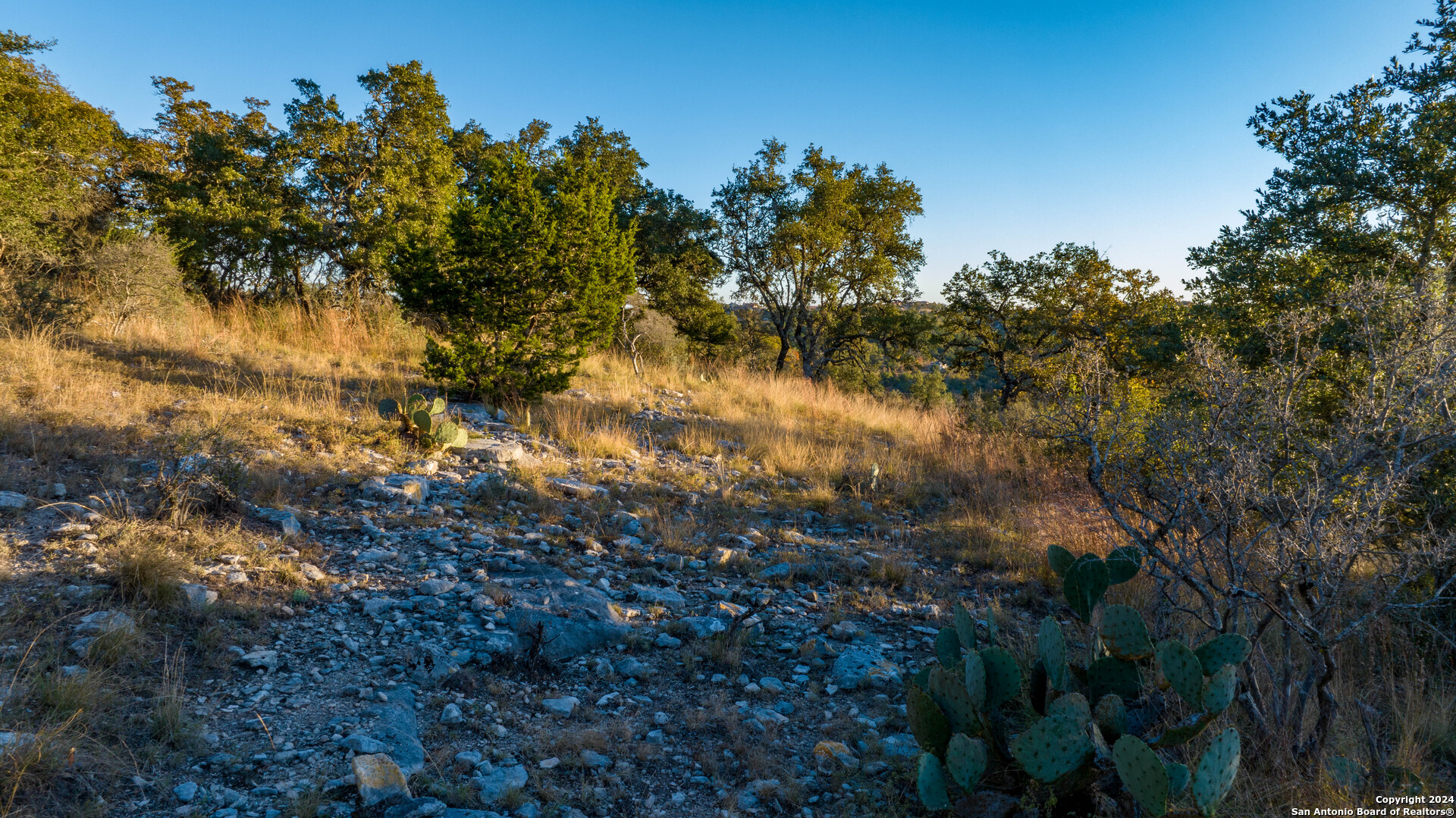 259 Lookout Point N Comfort TX 78013