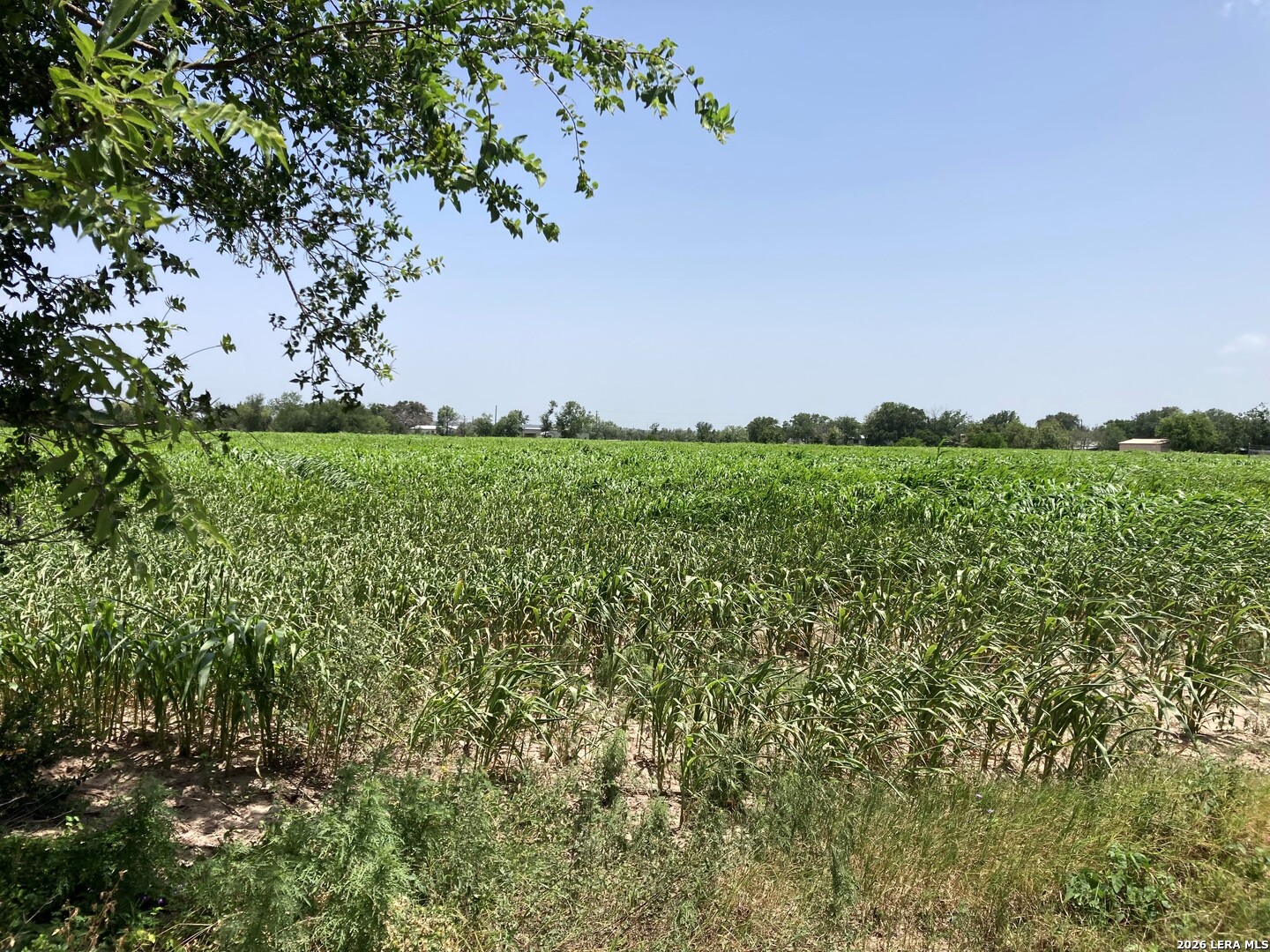000 County Road 4522 Hondo TX 78861