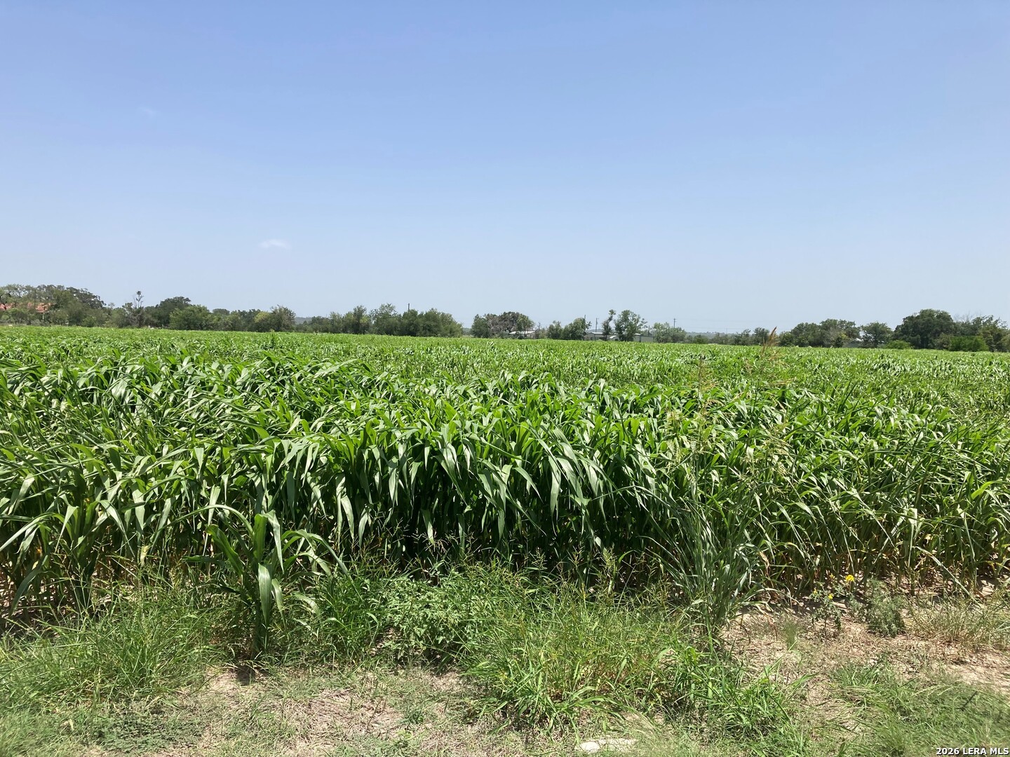 000 County Road 4522 Hondo TX 78861
