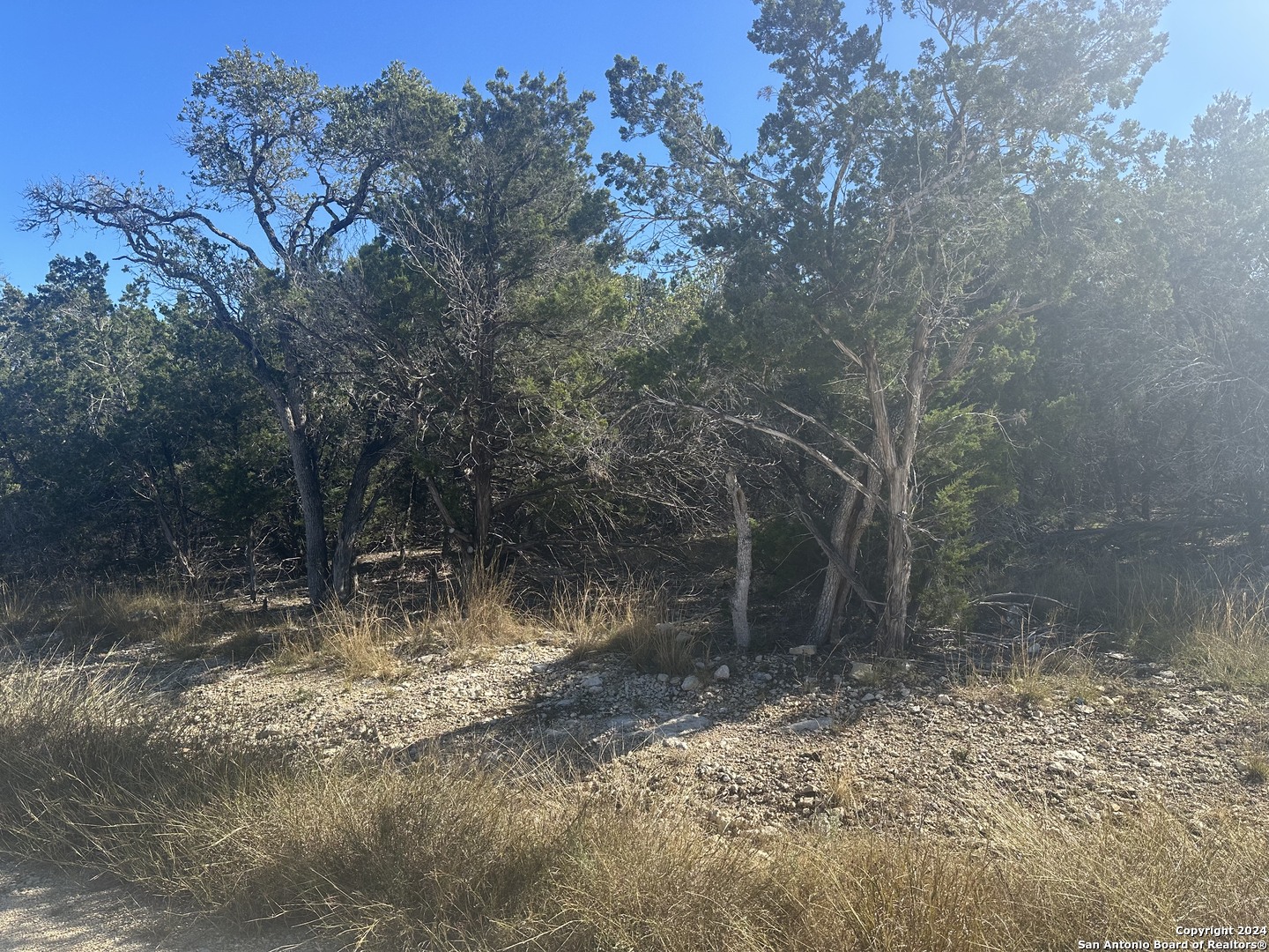 350 Restless Wind Spring Branch TX 78070