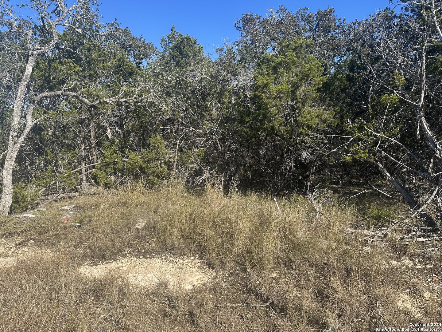 350 Restless Wind Spring Branch TX 78070