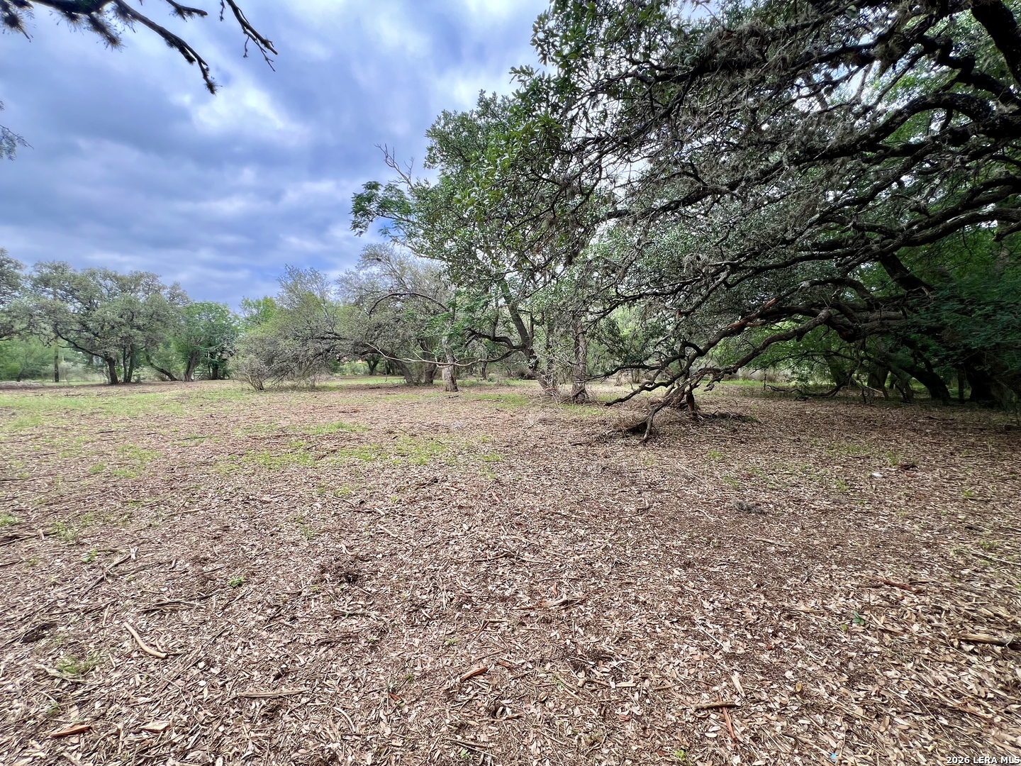 0 Low Bid Lane San Antonio TX 78250