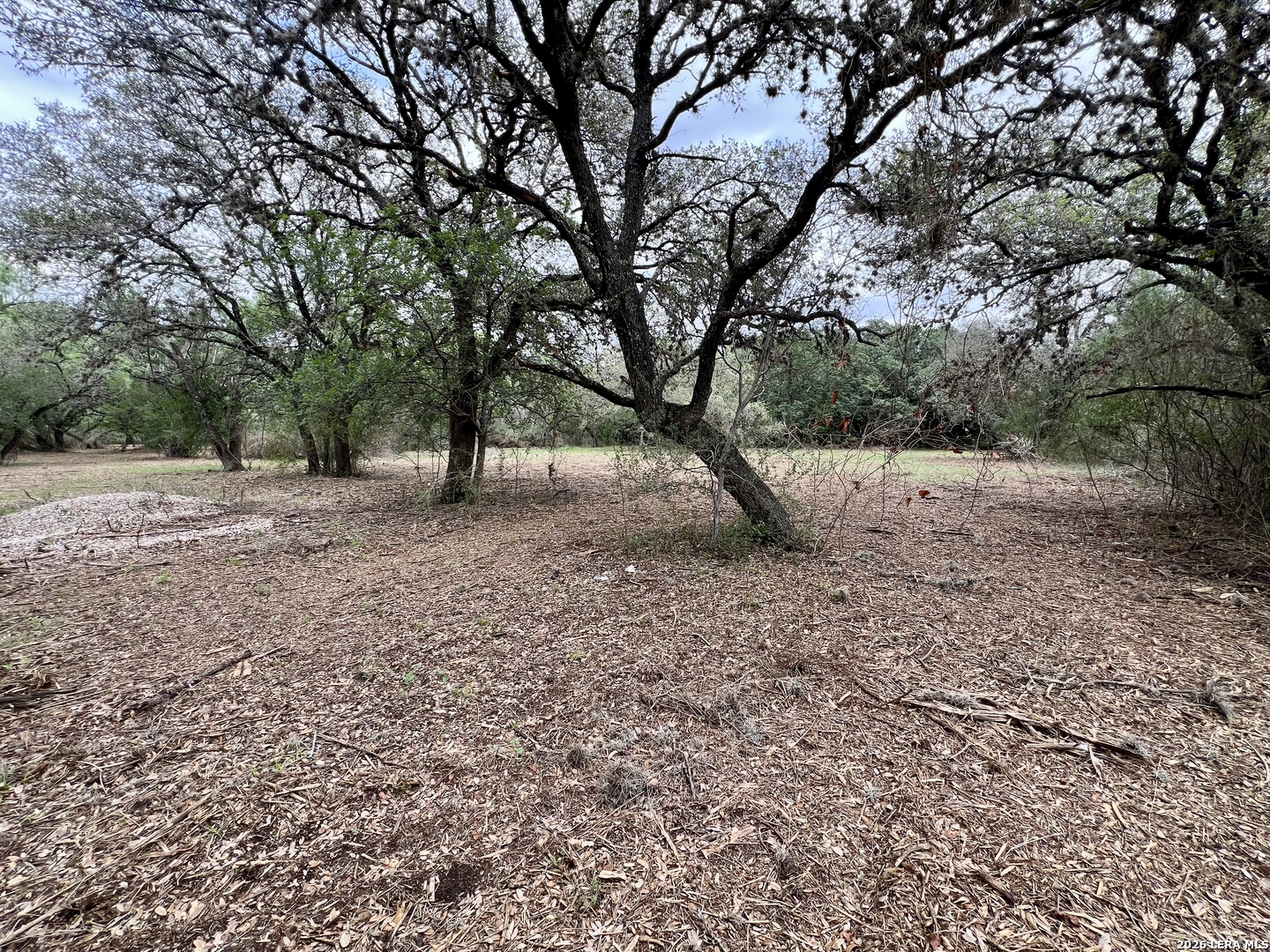 0 Low Bid Lane San Antonio TX 78250