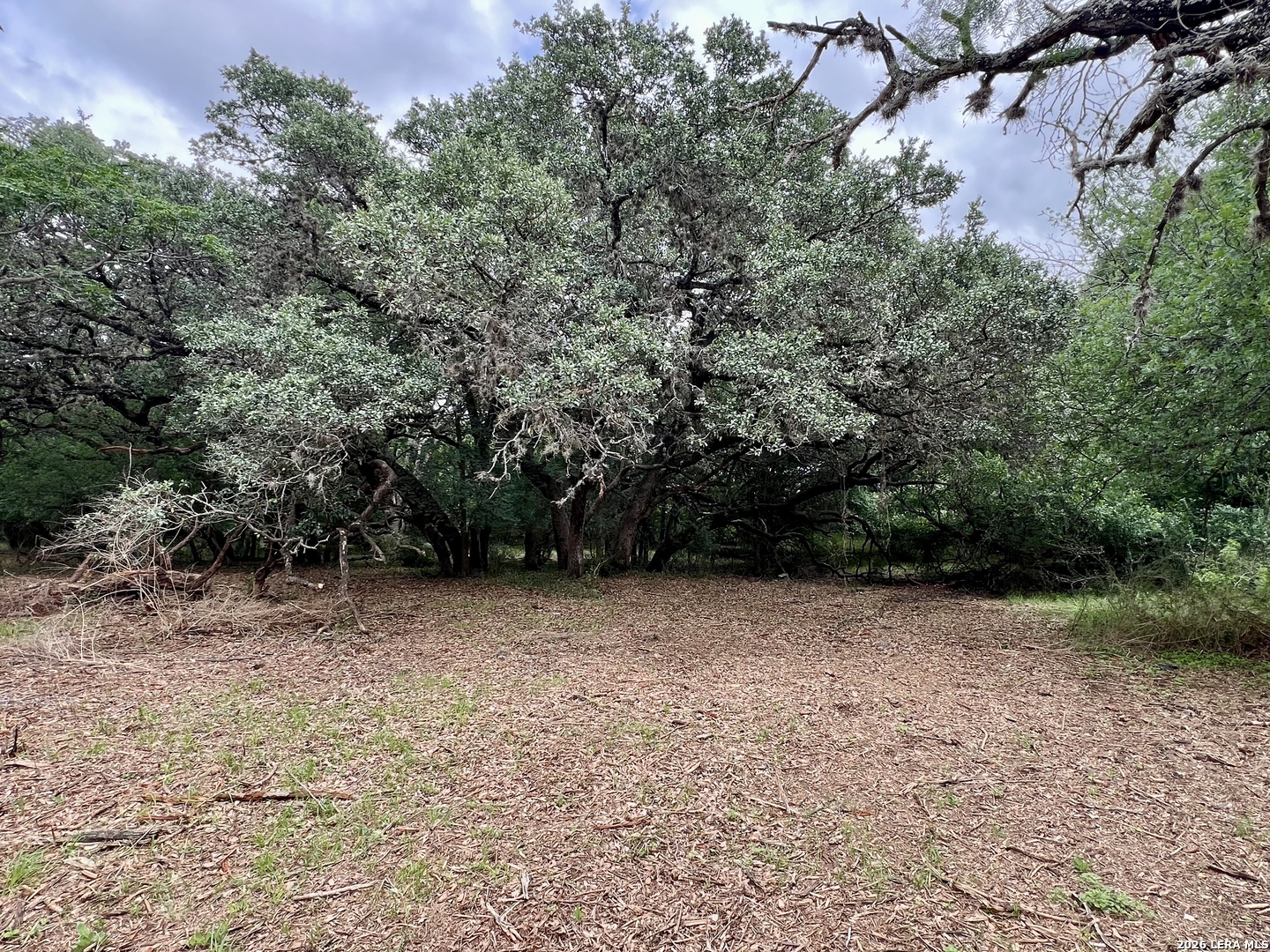 0 Low Bid Lane San Antonio TX 78250