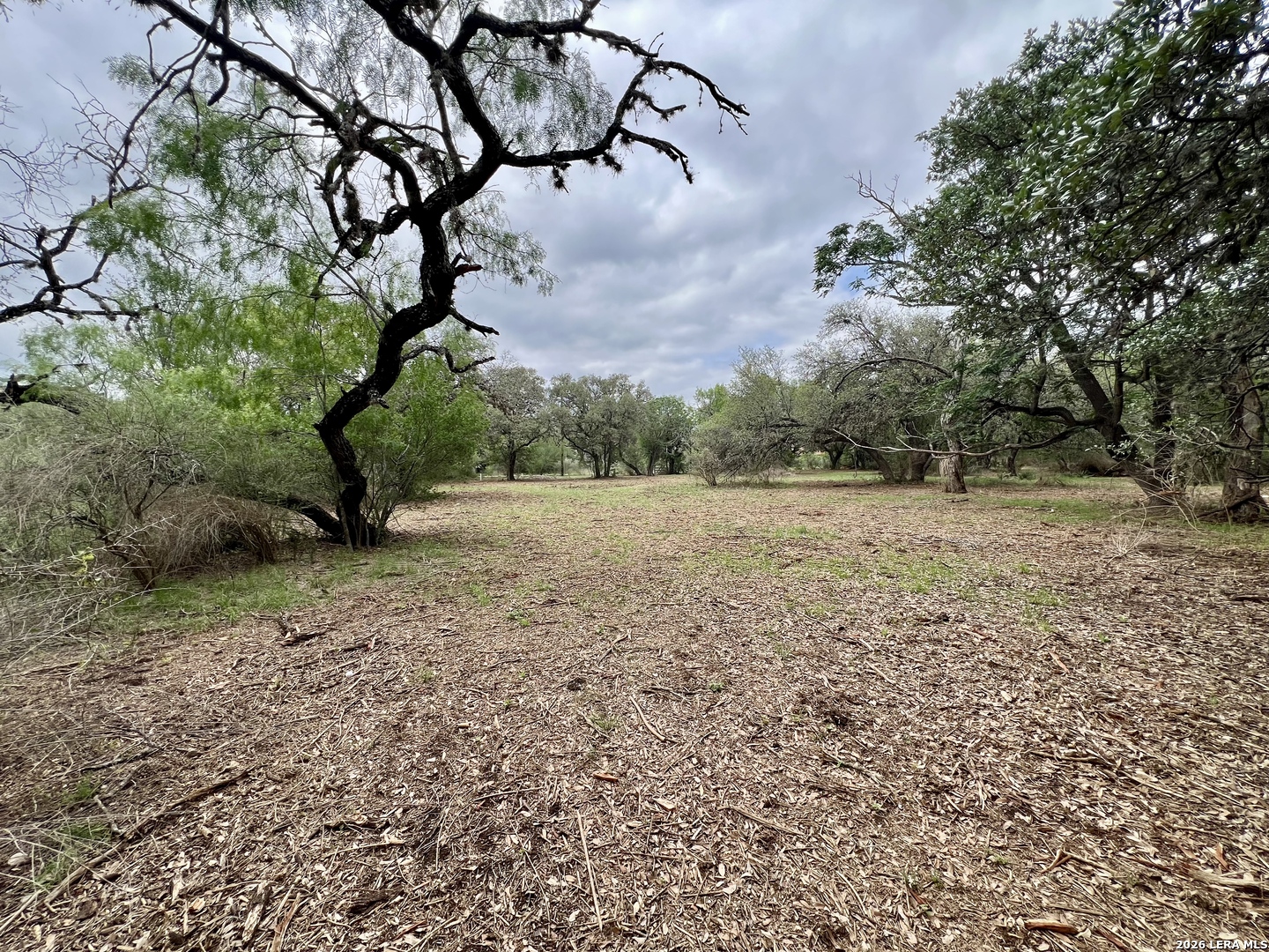 0 Low Bid Lane San Antonio TX 78250