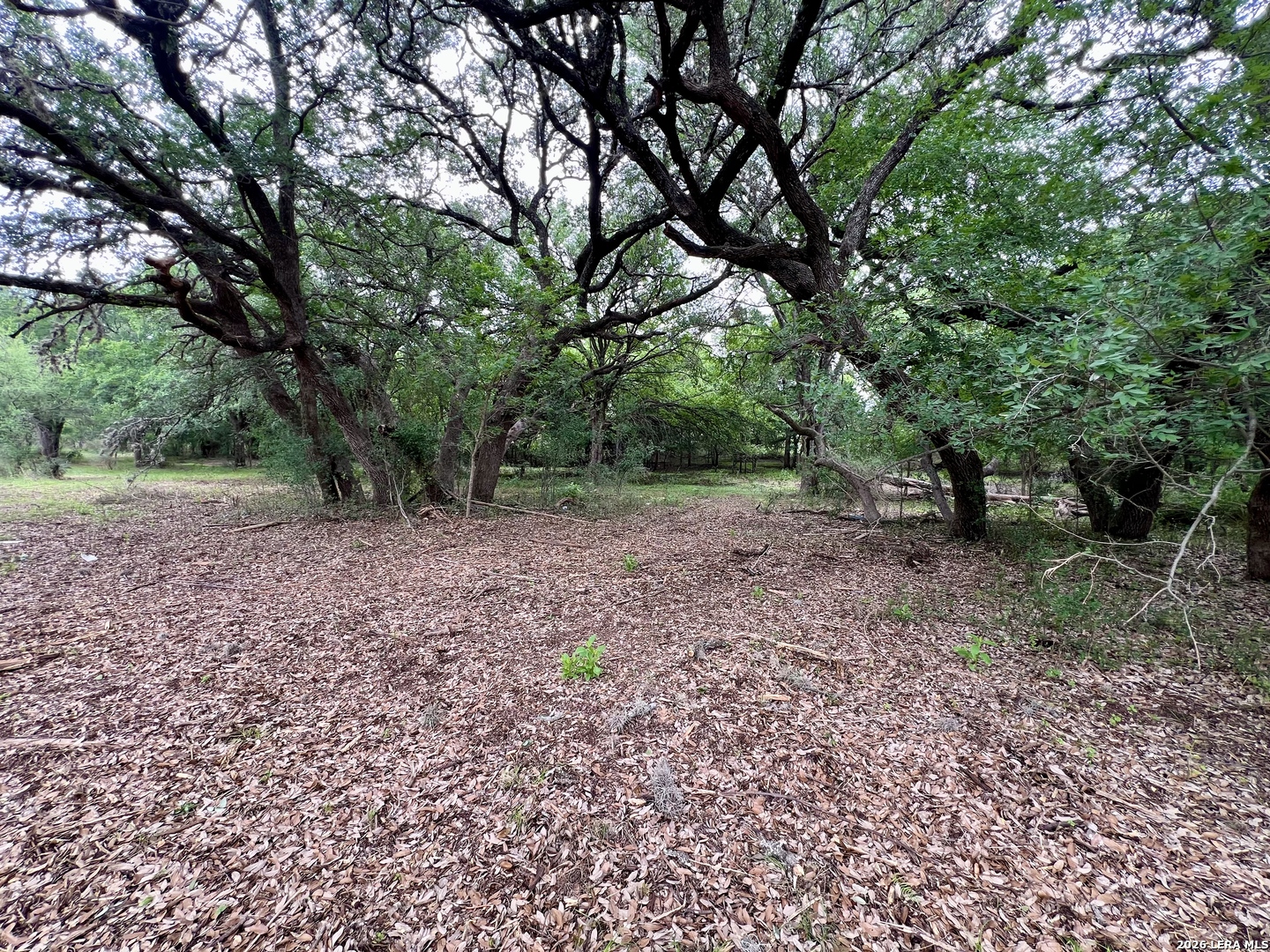 0 Low Bid Lane San Antonio TX 78250
