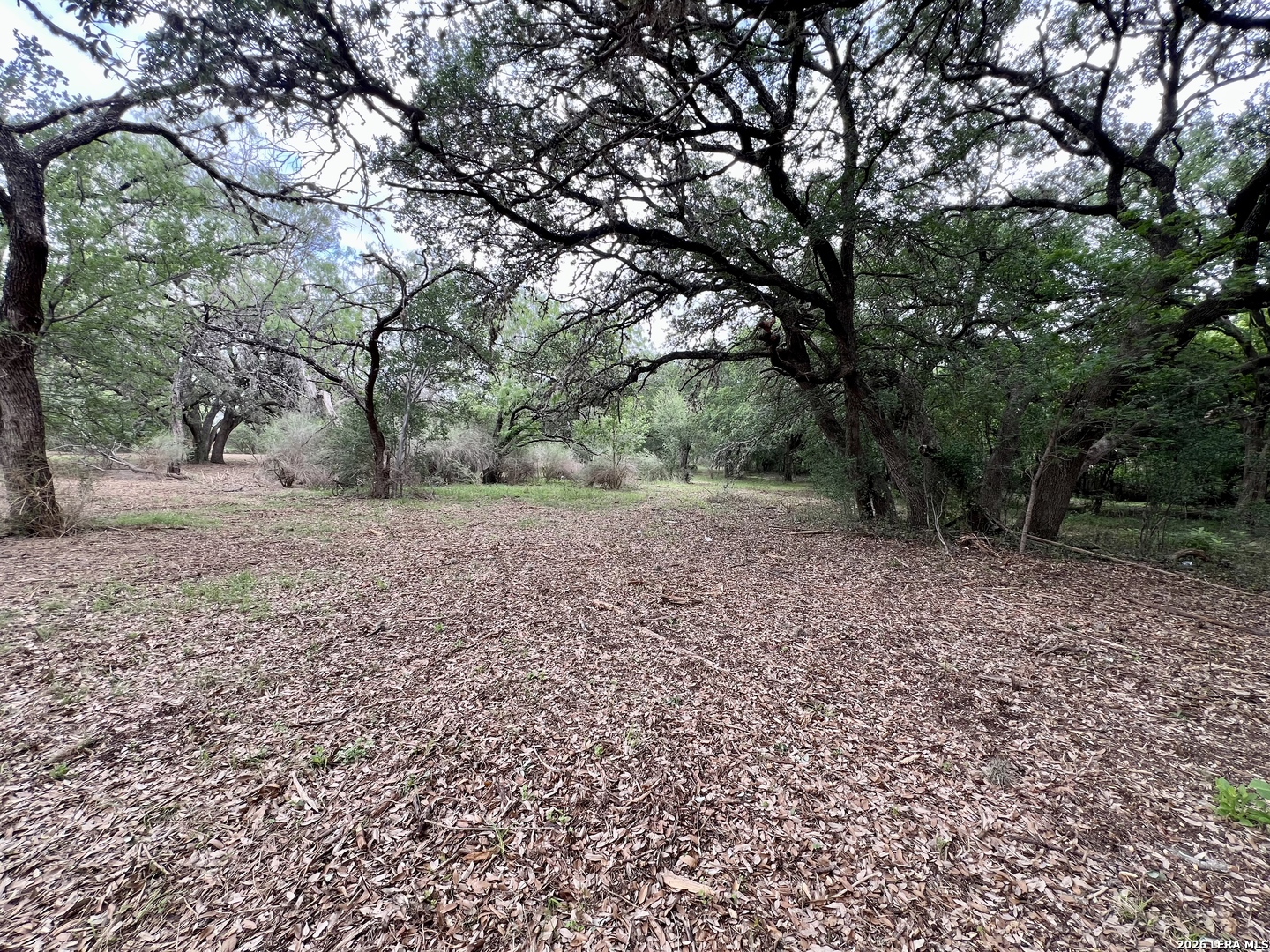 0 Low Bid Lane San Antonio TX 78250
