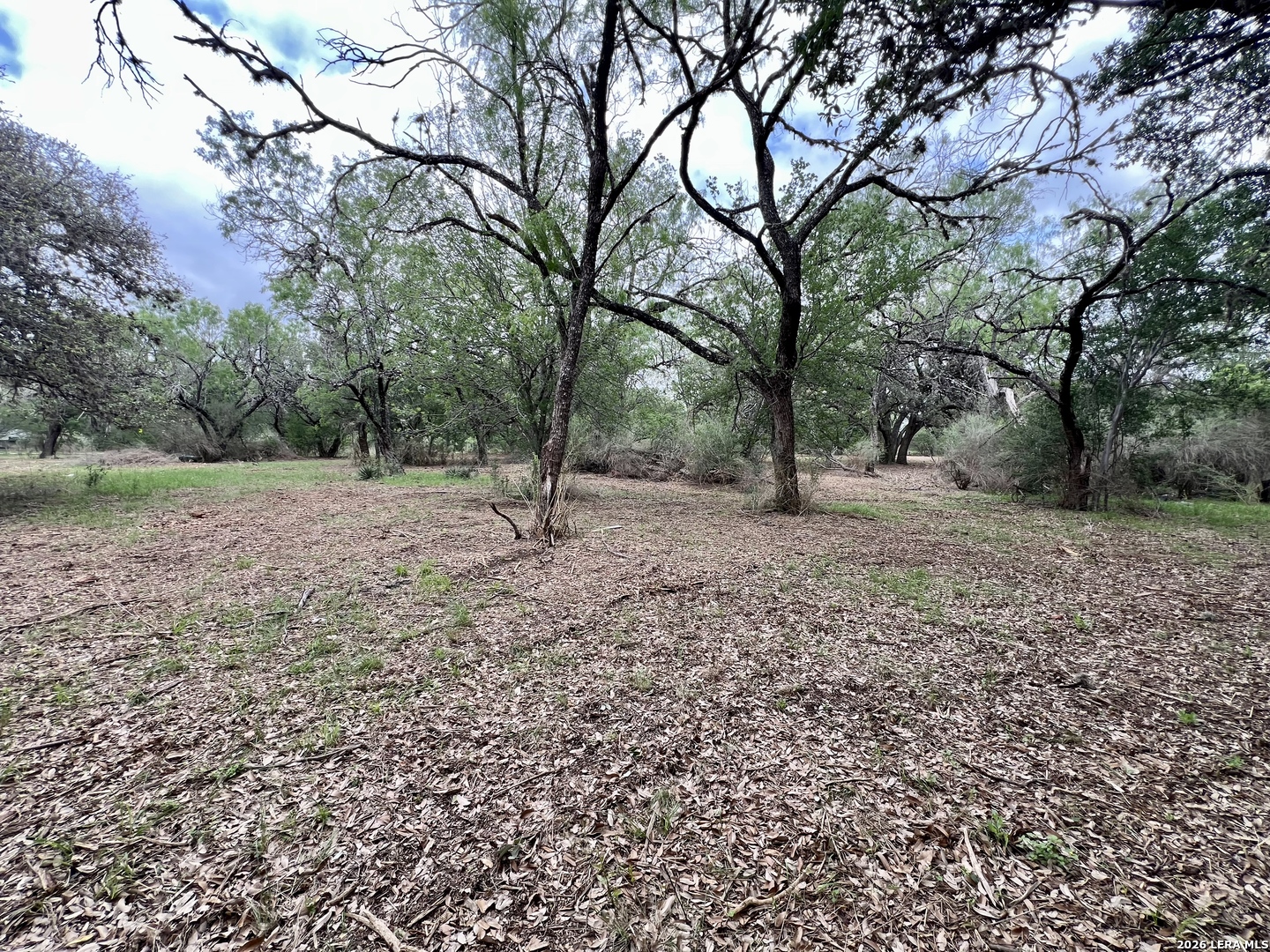 0 Low Bid Lane San Antonio TX 78250