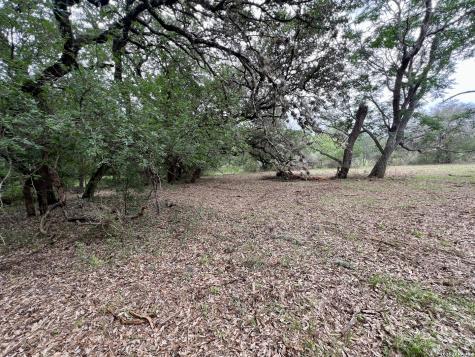 0 Low Bid Lane San Antonio TX 78250