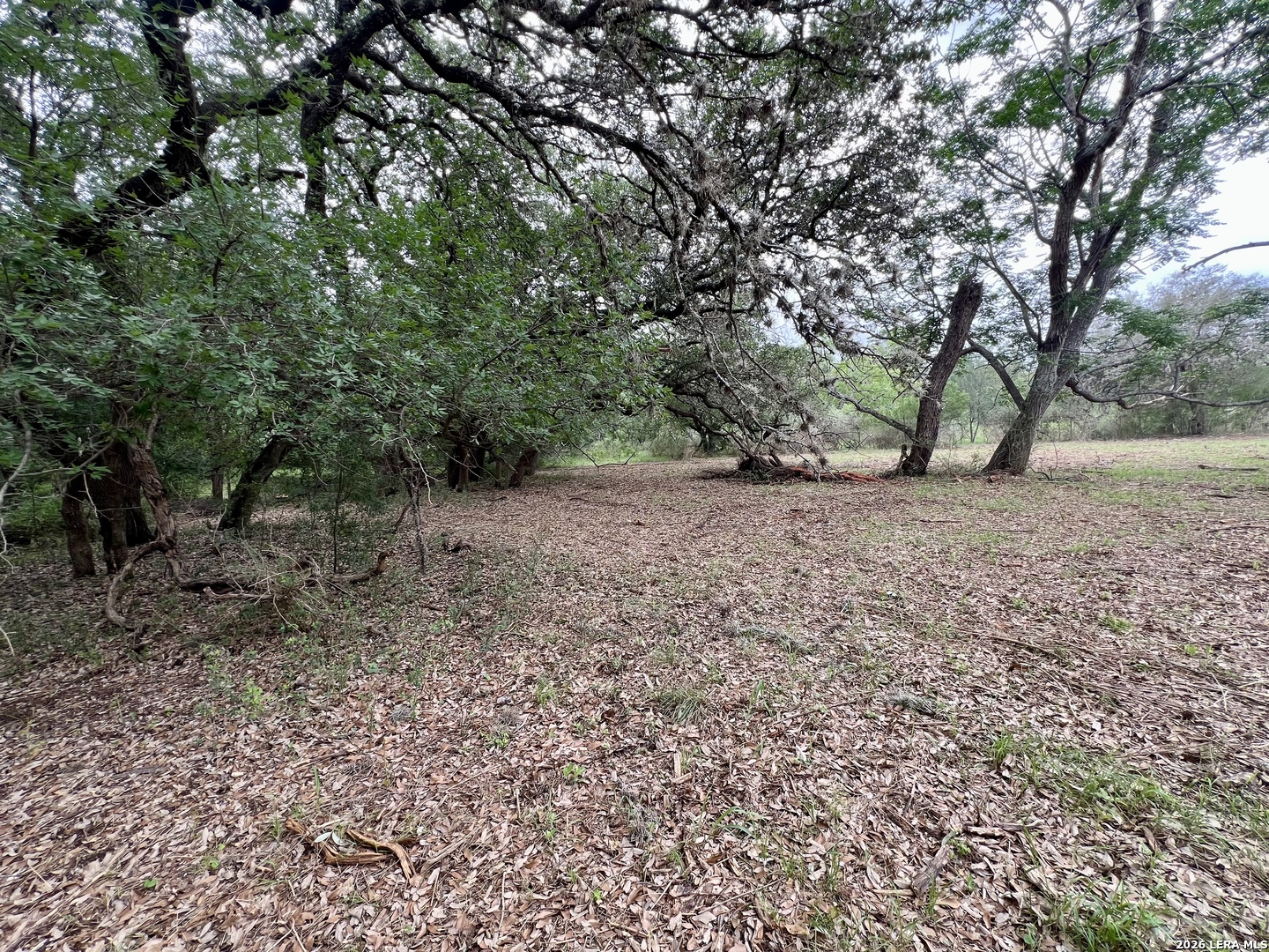 0 Low Bid Lane San Antonio TX 78250