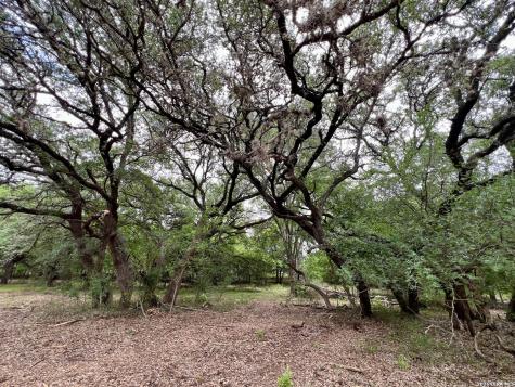 0 Low Bid Lane San Antonio TX 78250