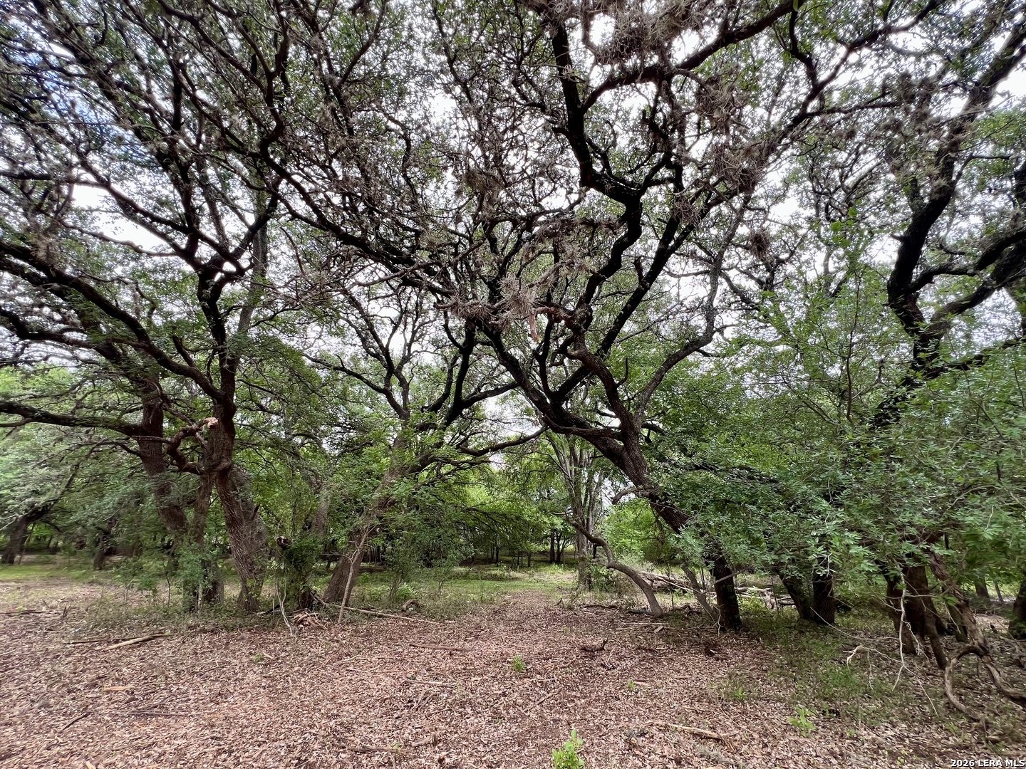 0 Low Bid Lane San Antonio TX 78250