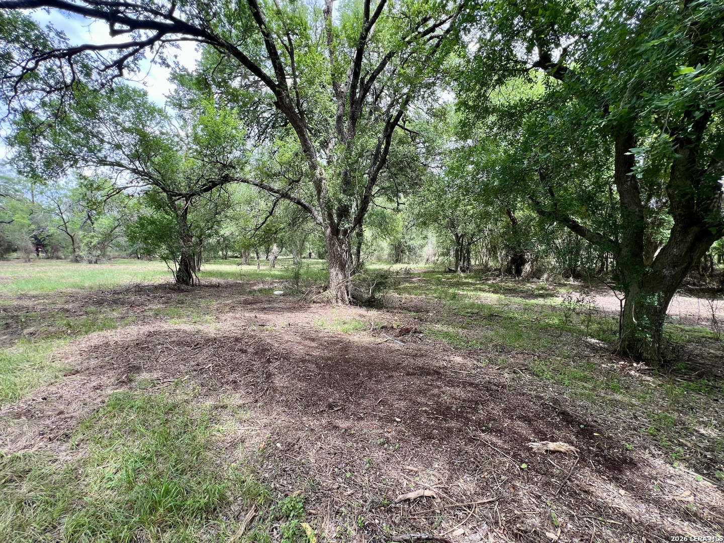0 Low Bid Lane San Antonio TX 78250