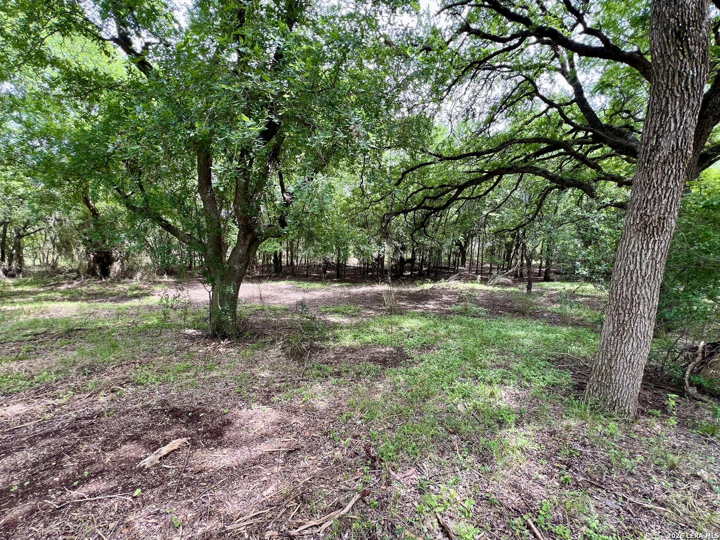 0 Low Bid Lane San Antonio TX 78250