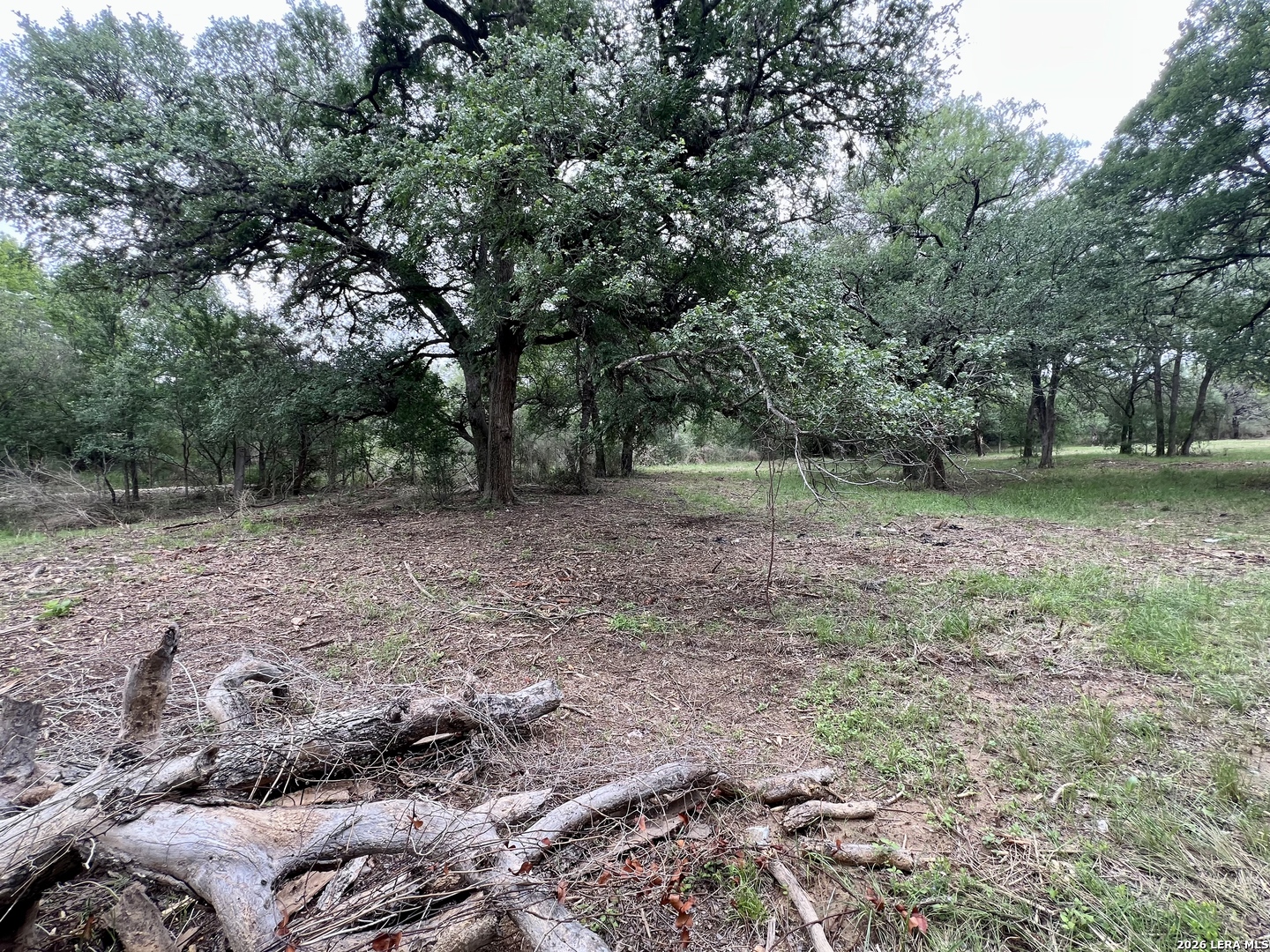 0 Low Bid Lane San Antonio TX 78250