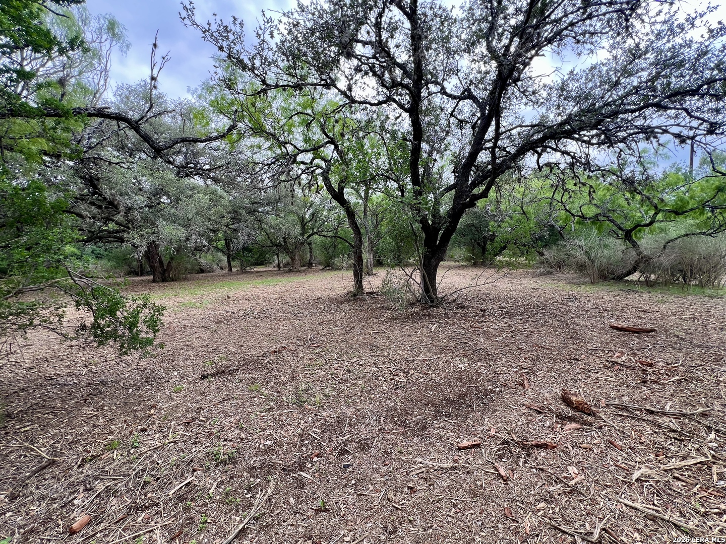 0 Low Bid Lane San Antonio TX 78250