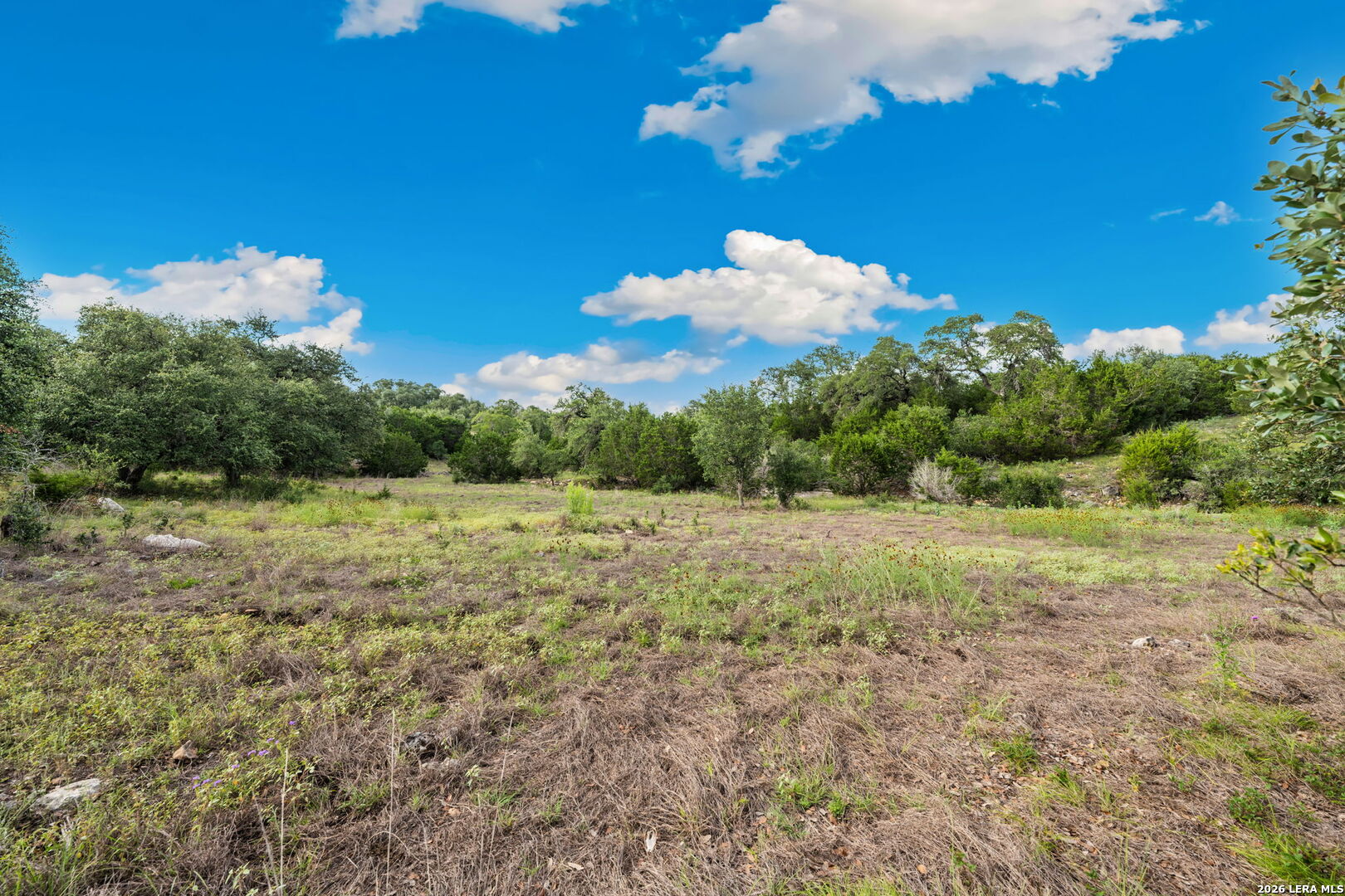 364 Butternut Way New Braunfels TX 78132