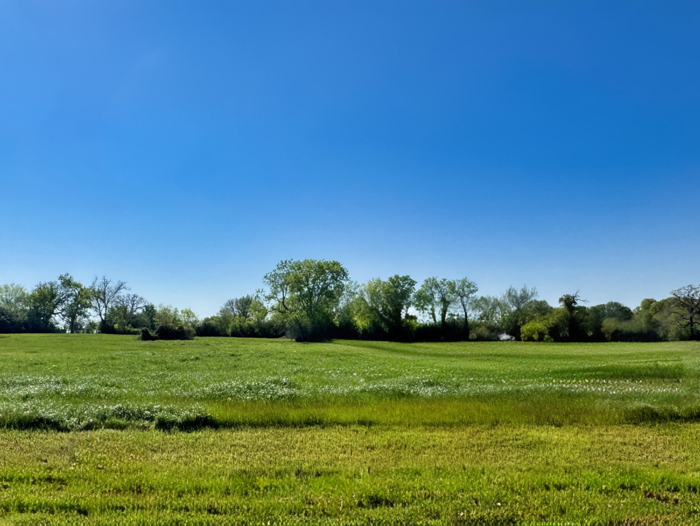 Lot 37 Panther Ridge Drive Iola TX 77861