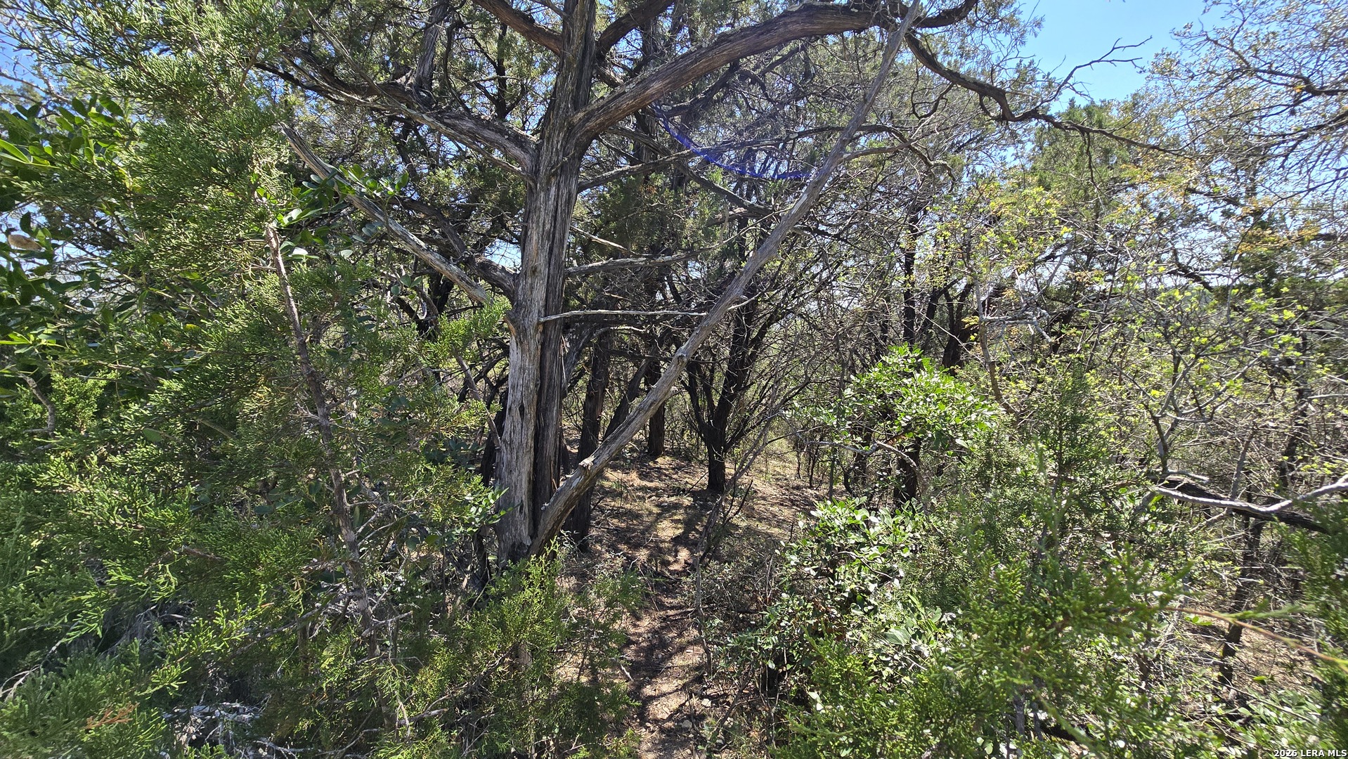 Tbd Doe Trail Lakehills TX 78063