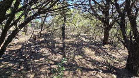 Tbd Doe Trail Lakehills TX 78063