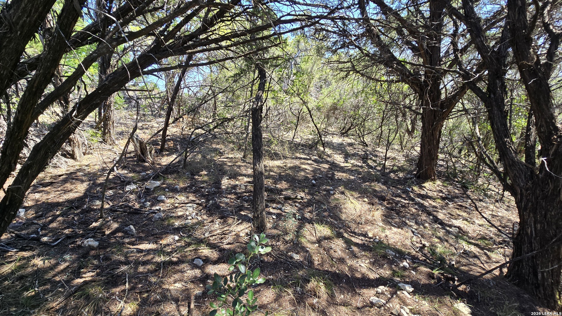 Tbd Doe Trail Lakehills TX 78063