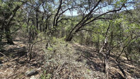 Tbd Doe Trail Lakehills TX 78063