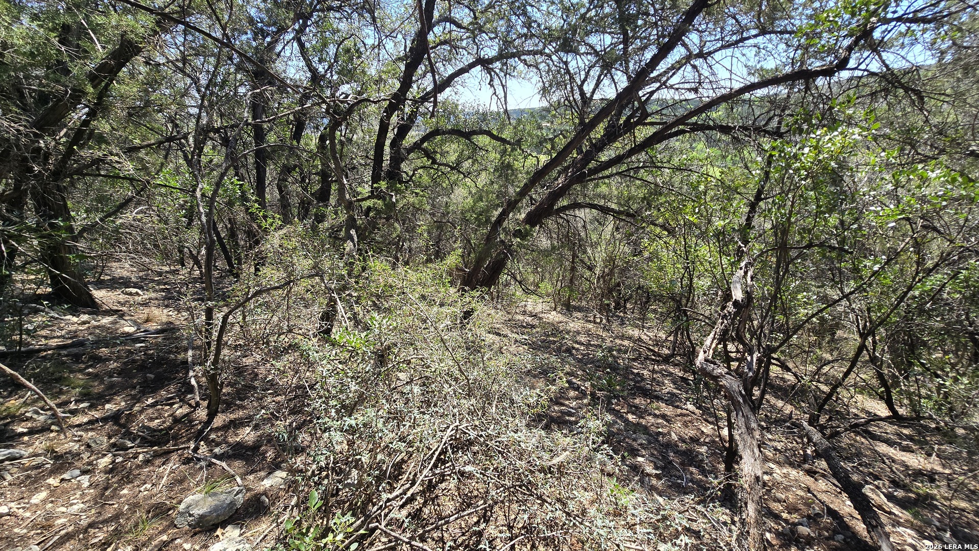 Tbd Doe Trail Lakehills TX 78063