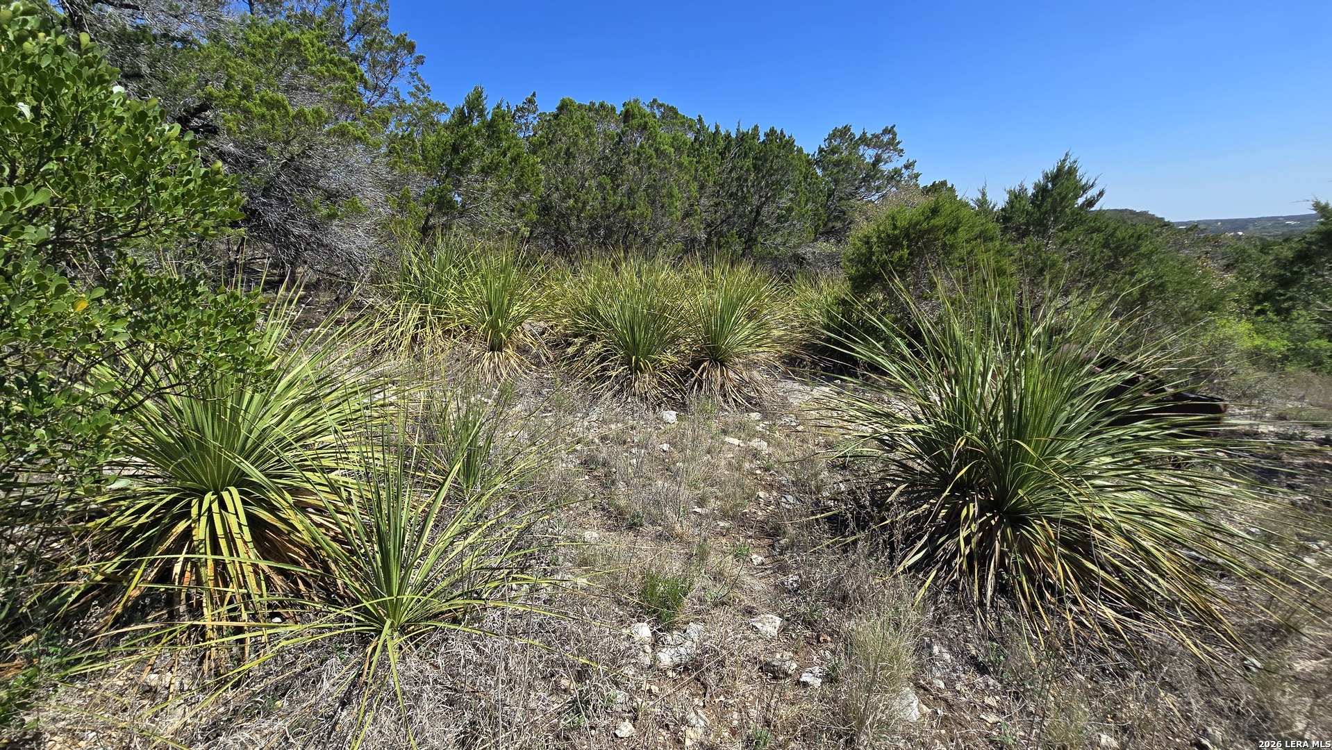 Tbd Doe Trail Lakehills TX 78063
