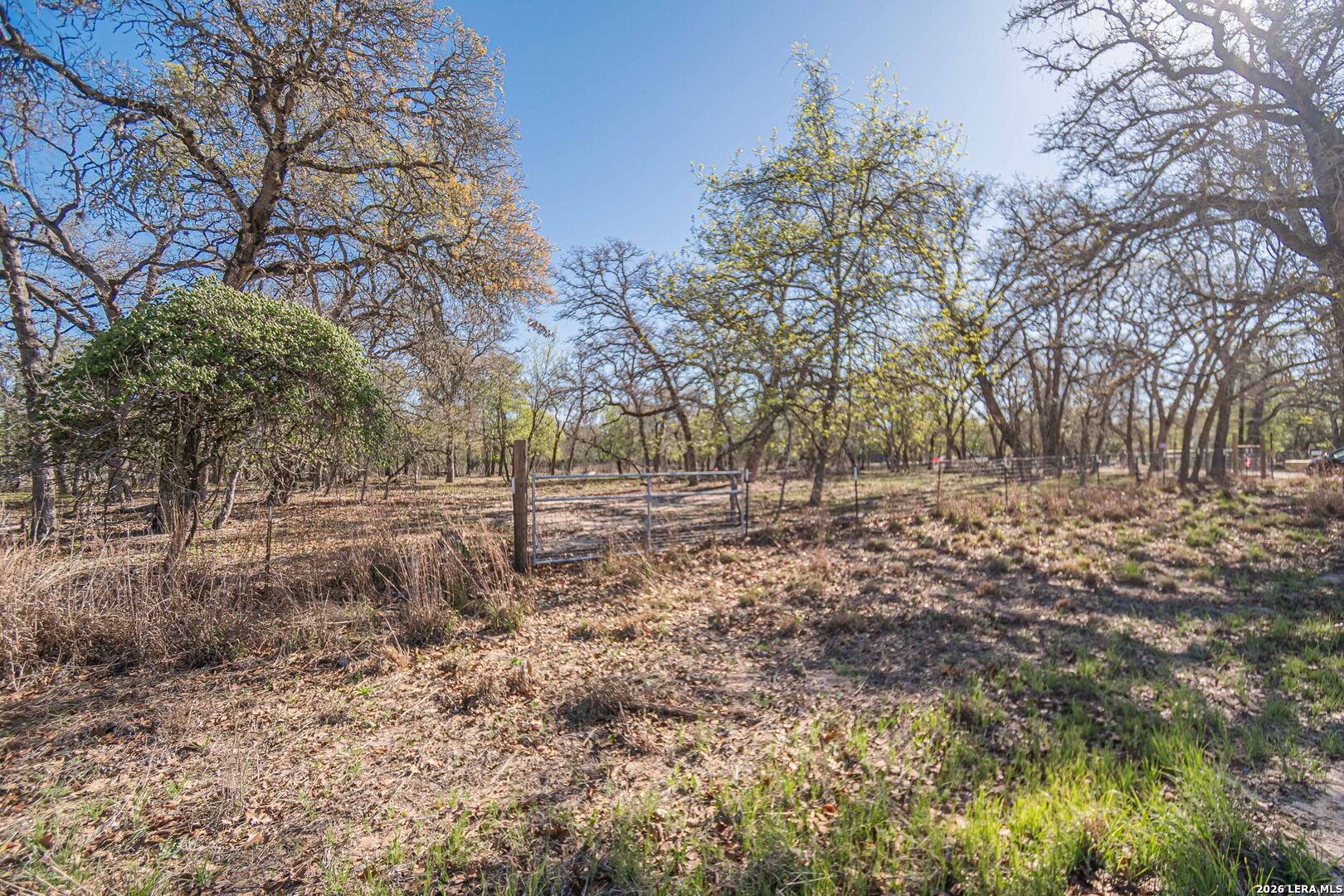 526 Turkey Tree Seguin TX 78155