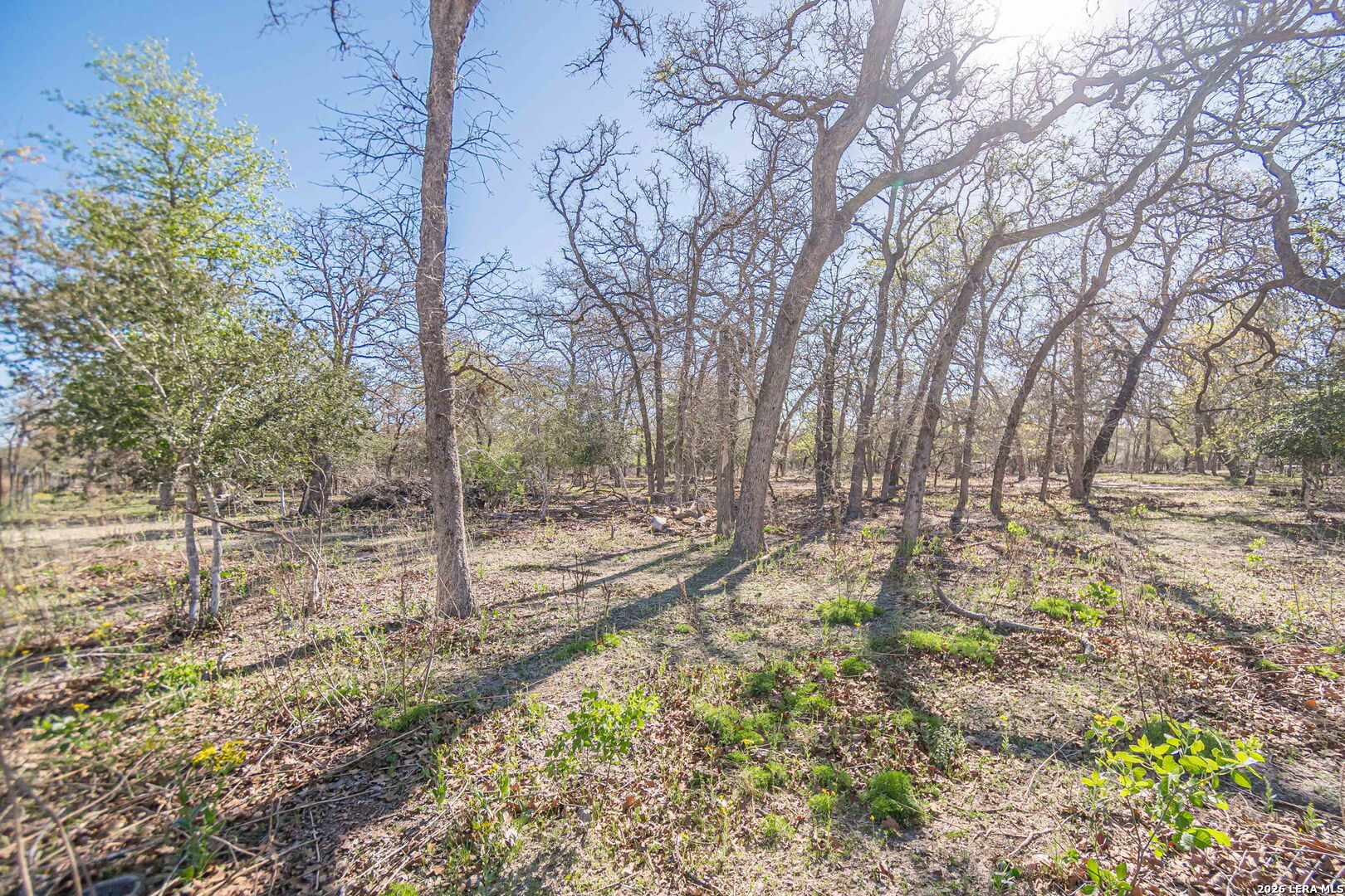 526 Turkey Tree Seguin TX 78155