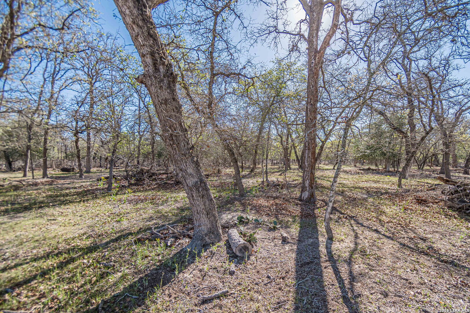 526 Turkey Tree Seguin TX 78155