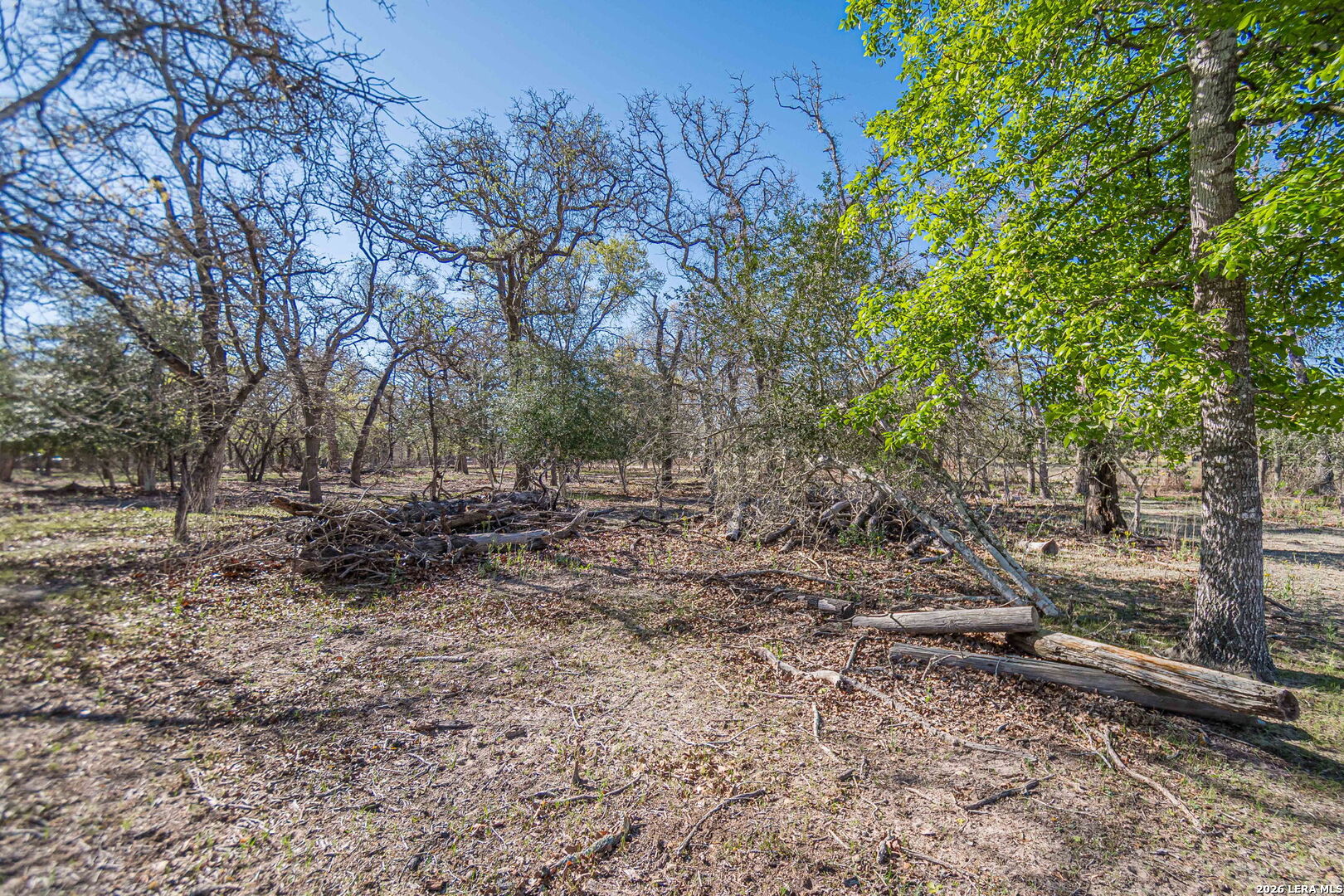 526 Turkey Tree Seguin TX 78155