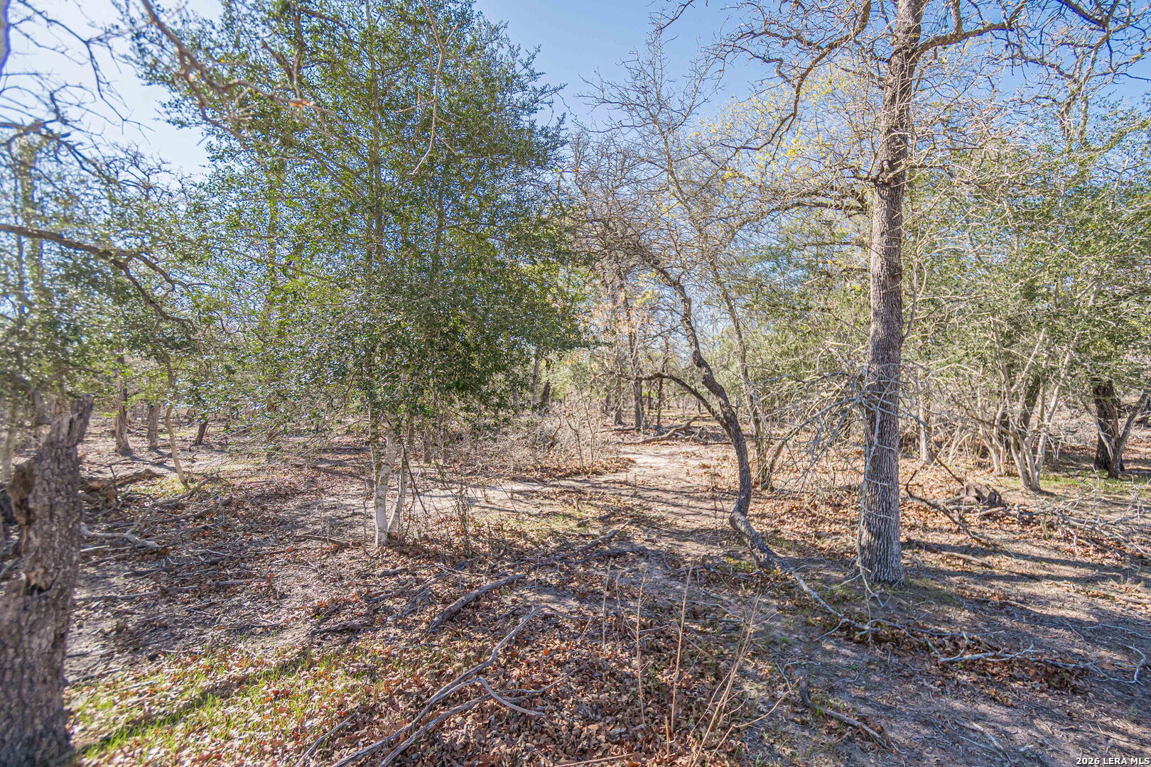 526 Turkey Tree Seguin TX 78155