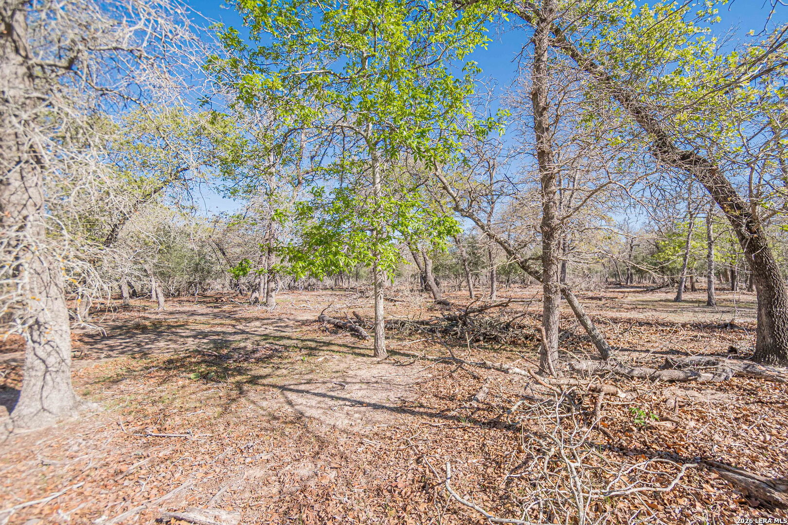 526 Turkey Tree Seguin TX 78155