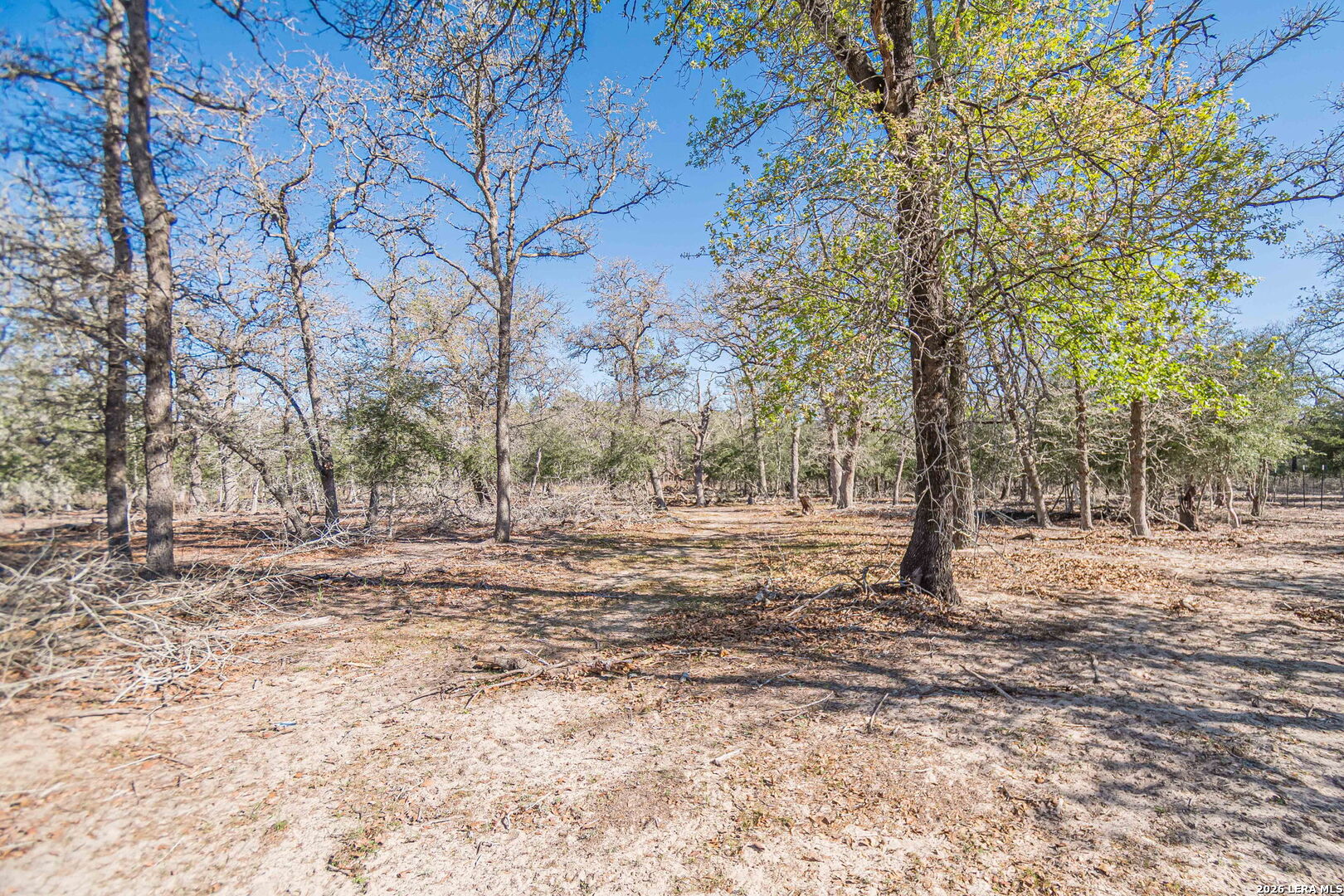 526 Turkey Tree Seguin TX 78155