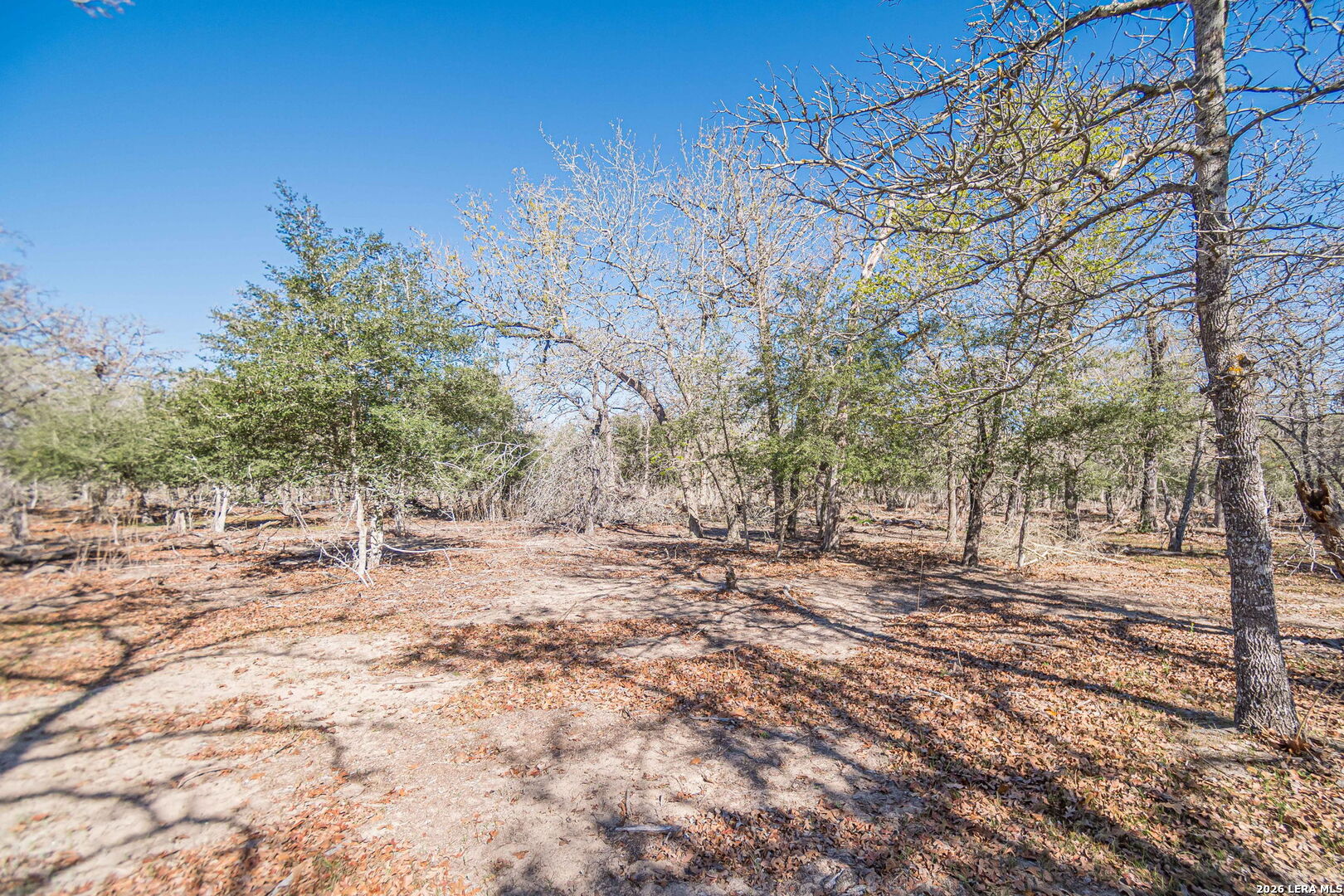 526 Turkey Tree Seguin TX 78155