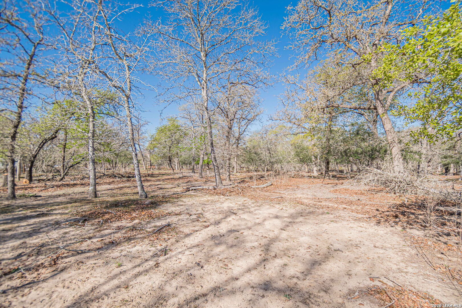 526 Turkey Tree Seguin TX 78155