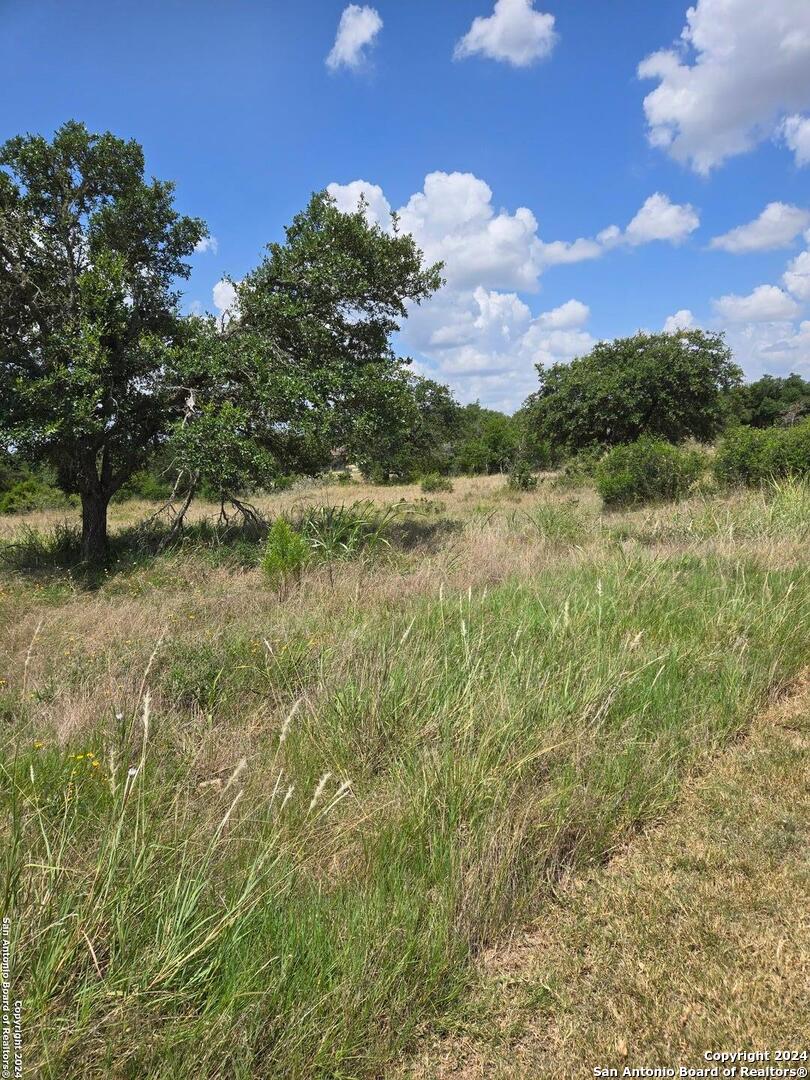 1961 Zinfandel New Braunfels TX 78132