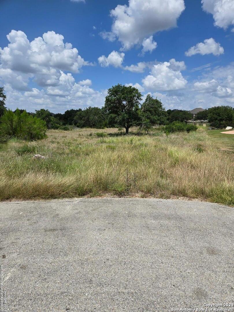 1961 Zinfandel New Braunfels TX 78132