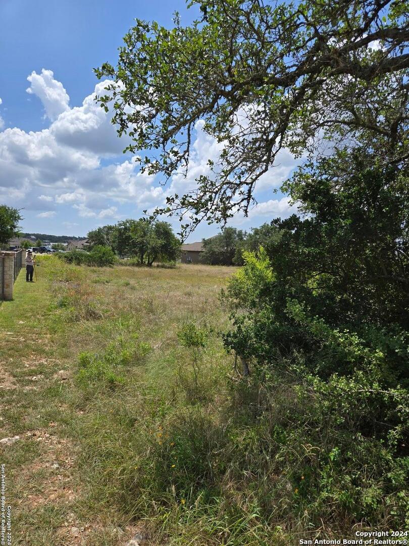 1961 Zinfandel New Braunfels TX 78132