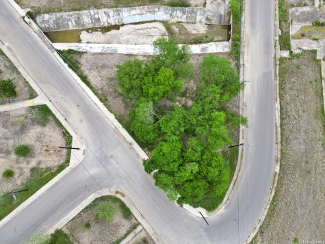 430 Betty Jean San Antonio TX 78223