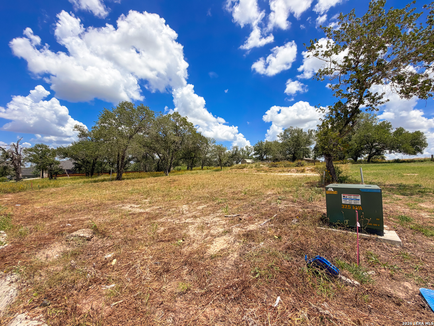 165 Ash Parkway La Vernia TX 78121