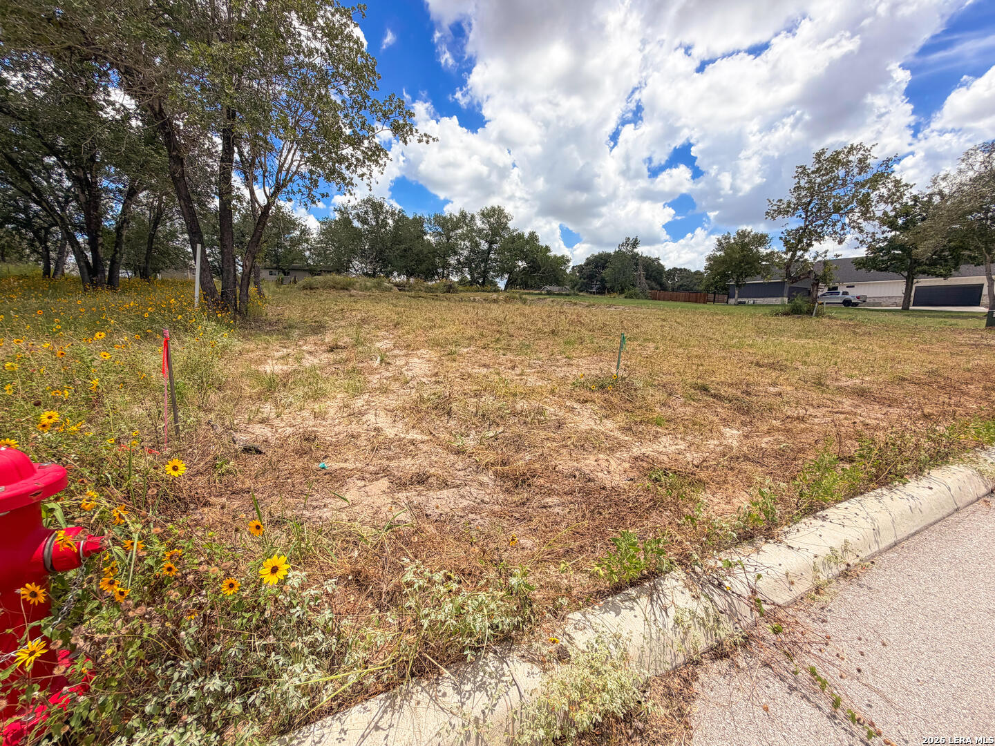 165 Ash Parkway La Vernia TX 78121