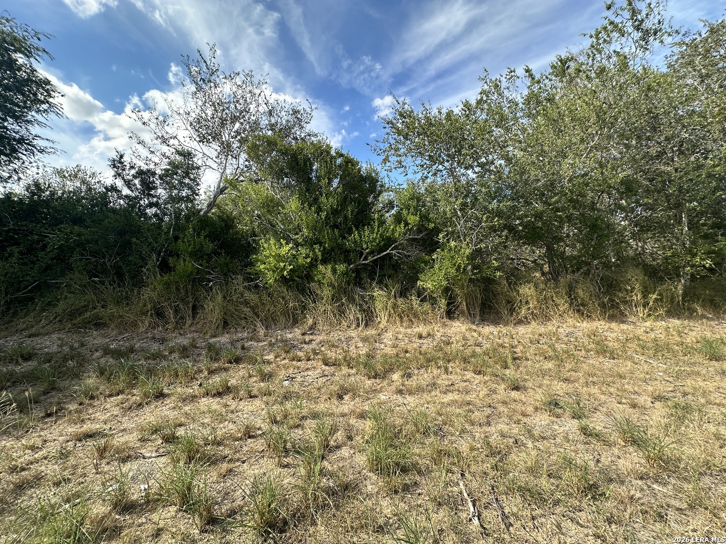 Tbd Fm 797 Beeville TX 78102