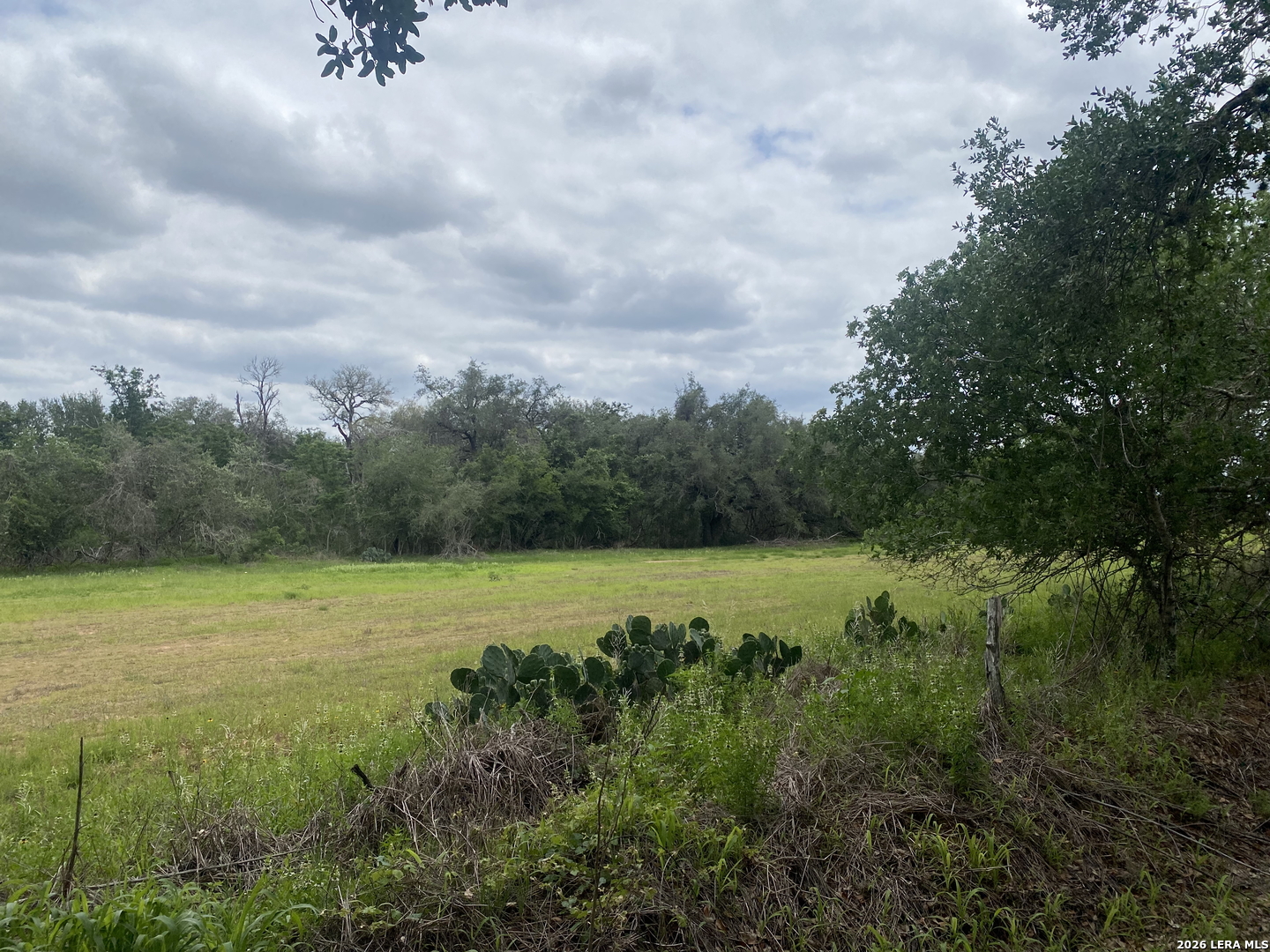 10.36 Acres New Sulphur Springs Road San Antonio TX 78263